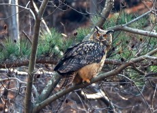 울산시 울주군 절개지 암벽서 수리..
